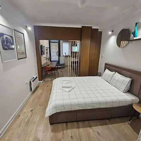 Apartmán Ultracentral Victoriei Bukurešť