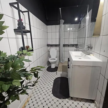 Ultracentral Victoriei Апартаменты